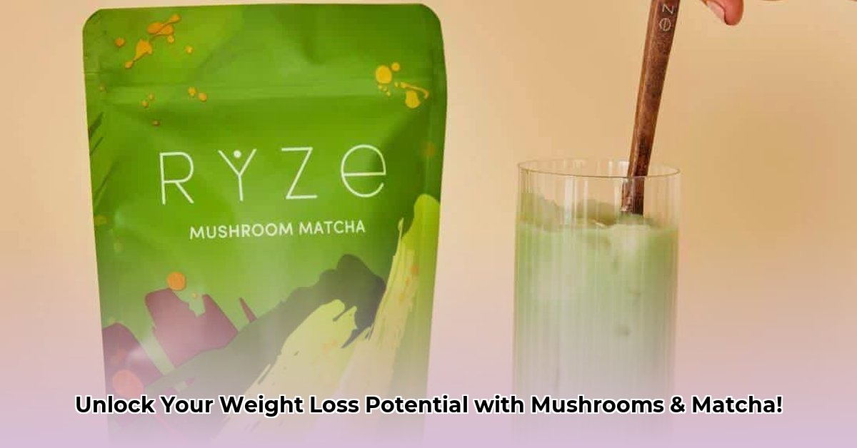 mushroom-matcha-weight-loss